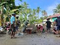 Tunjang Akses Petani, Babinsa Koramil 1406-10/Pitumpanua Bantu Warga Timbun Jalan Tani